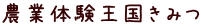 農業体験王国きみつ