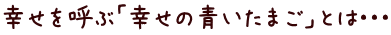 幸せを呼ぶ「幸せの青いたまご」とは・・・
