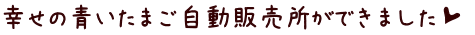 幸せの青いたまご自動販売所ができました┰ 